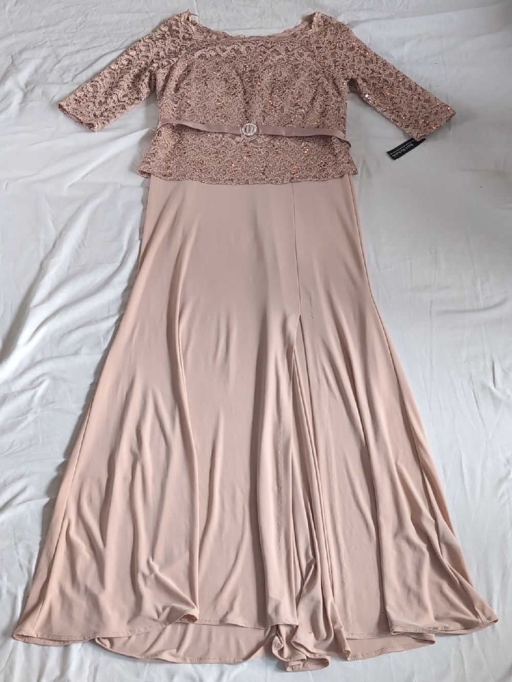 R&M Richards Blush  Evening Dress
